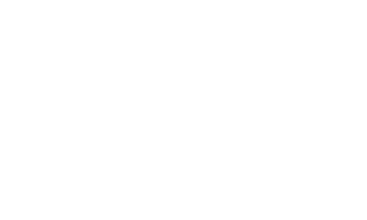 Virtually Aligned Logo - White